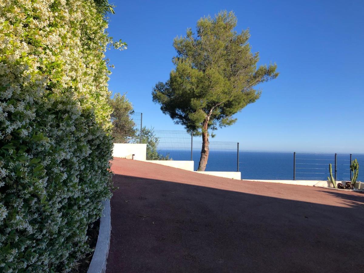 Vue Mer.Tranquilite.Cap D'Ail A 10 Mn De Monaco Cap-d'Ail Eksteriør billede